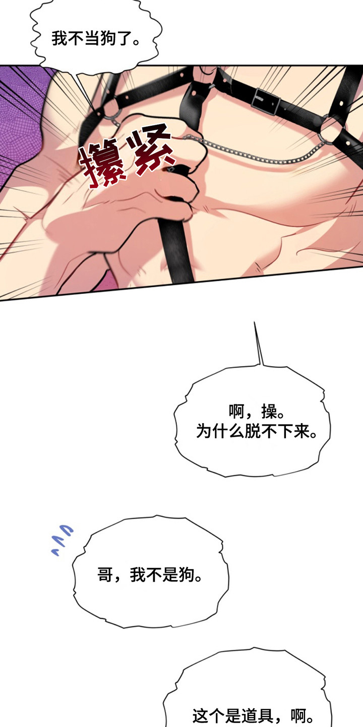 忠犬狂欢漫画在线阅读漫画,第44章：暖暖的锅炉：家人（完）2图