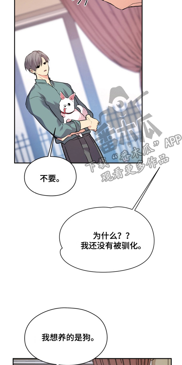 忠犬狂欢免费下拉式漫画漫画,第44章：暖暖的锅炉：家人（完）5图