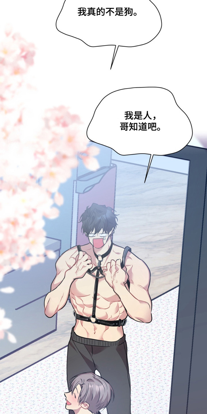 忠犬狂欢漫画在线阅读漫画,第44章：暖暖的锅炉：家人（完）4图