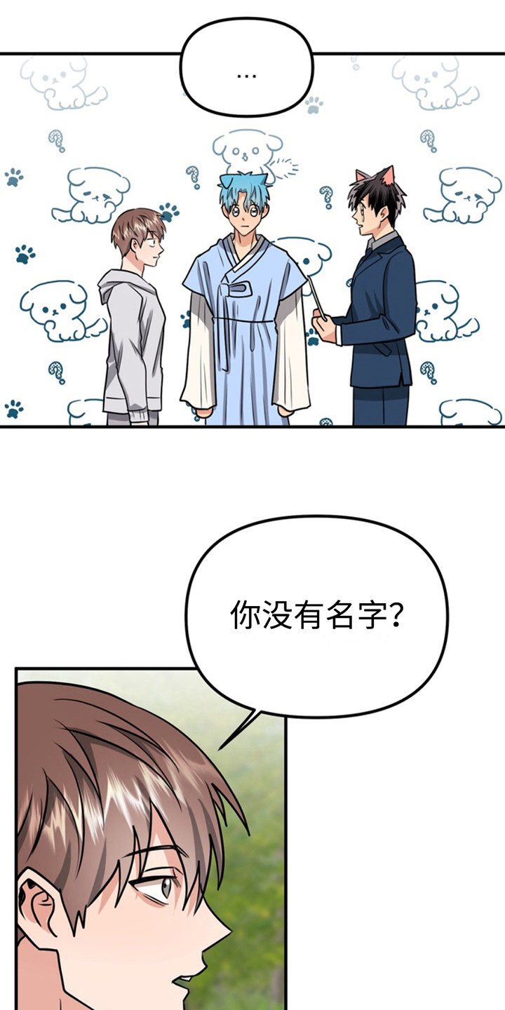 忠犬狂欢漫画,第60章：小狗的丈夫：登记书3图