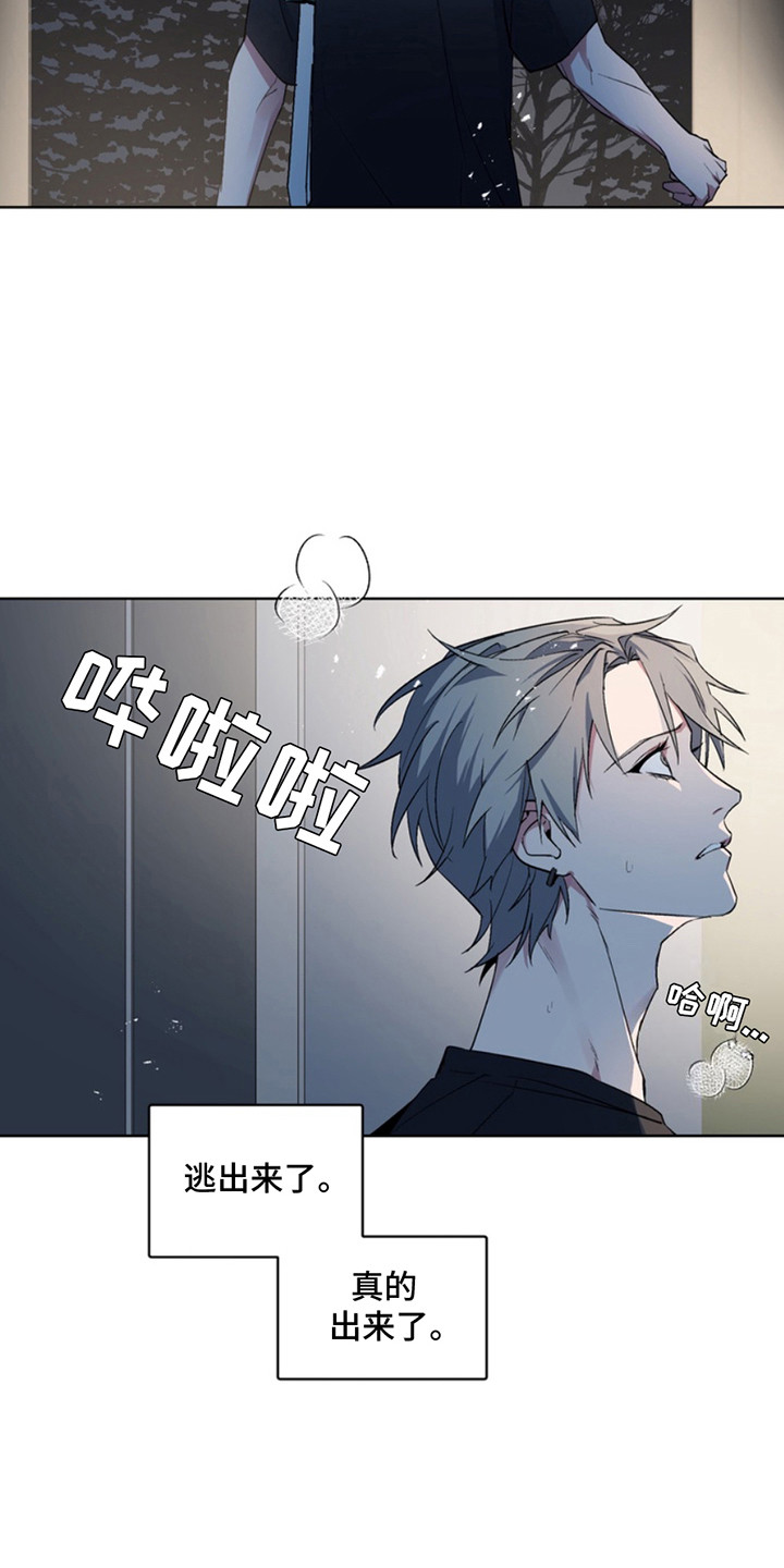 忠犬狂欢漫画,第9章：断脚：出口4图