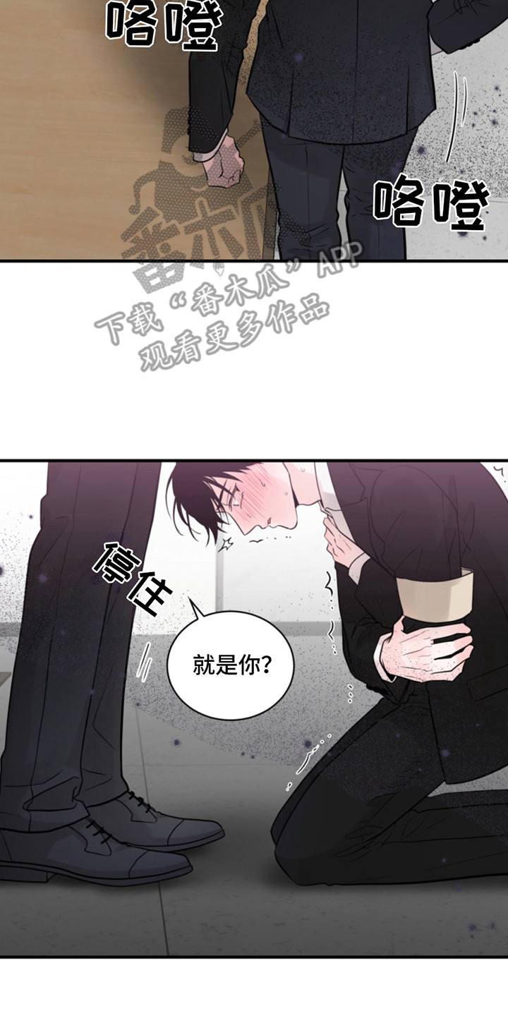 忠犬狂欢漫画,第46章：朱光成：葬礼相遇2图