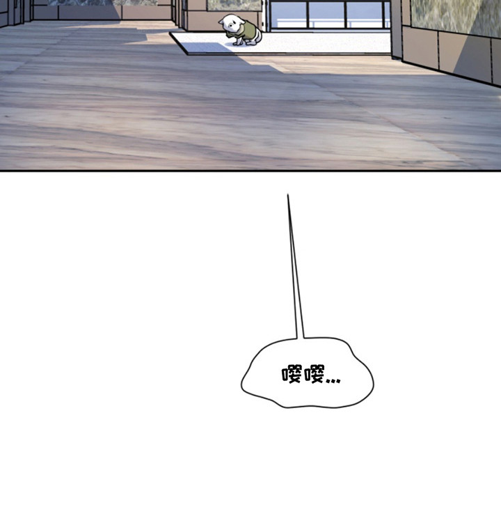 忠犬百科漫画,第38章：暖暖的锅炉：慢慢来3图