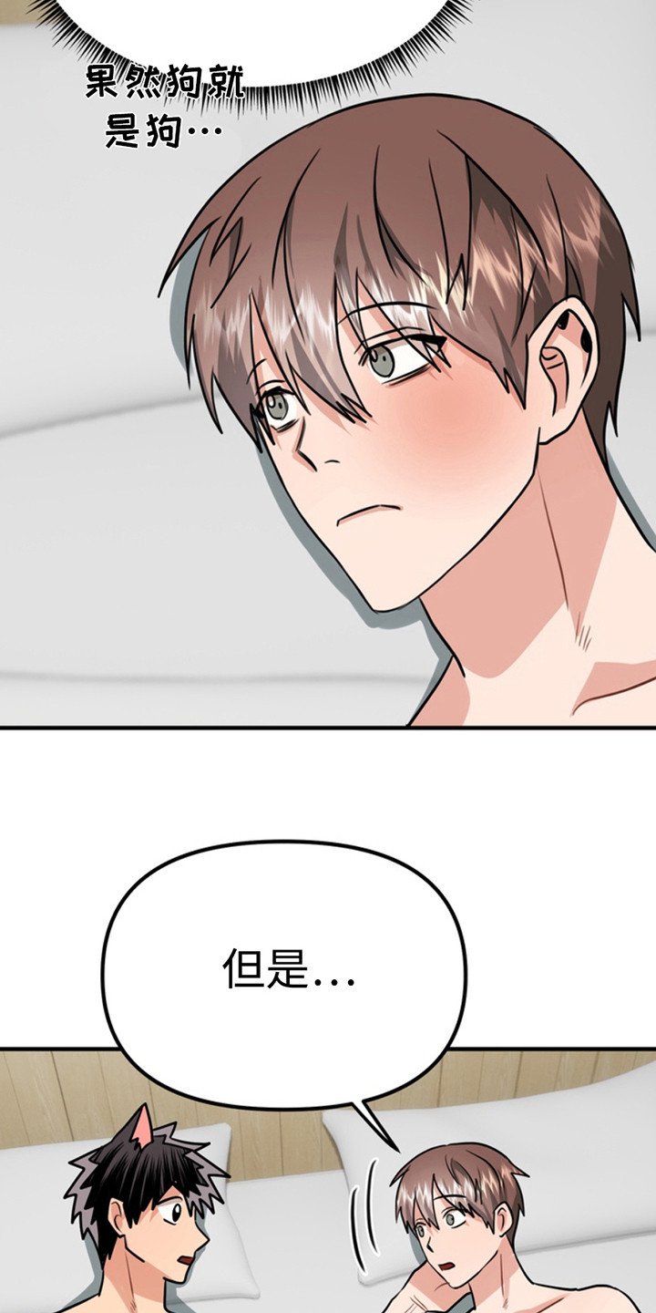 忠犬lofter漫画,第64章：小狗的丈夫：请多关照（完）1图