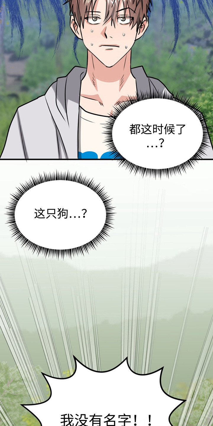 忠犬狂欢漫画,第60章：小狗的丈夫：登记书1图