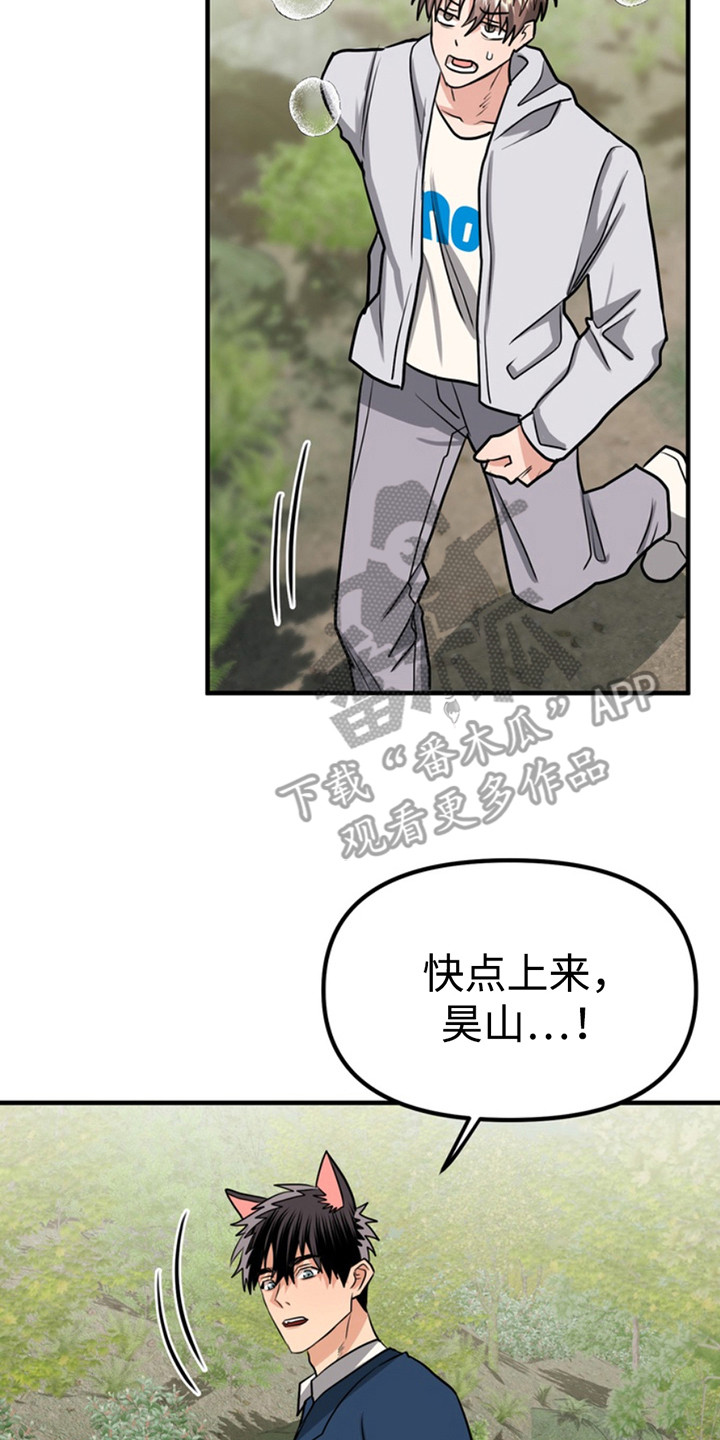 忠犬小说讲的是什么漫画,第59章：小狗的丈夫：登山5图