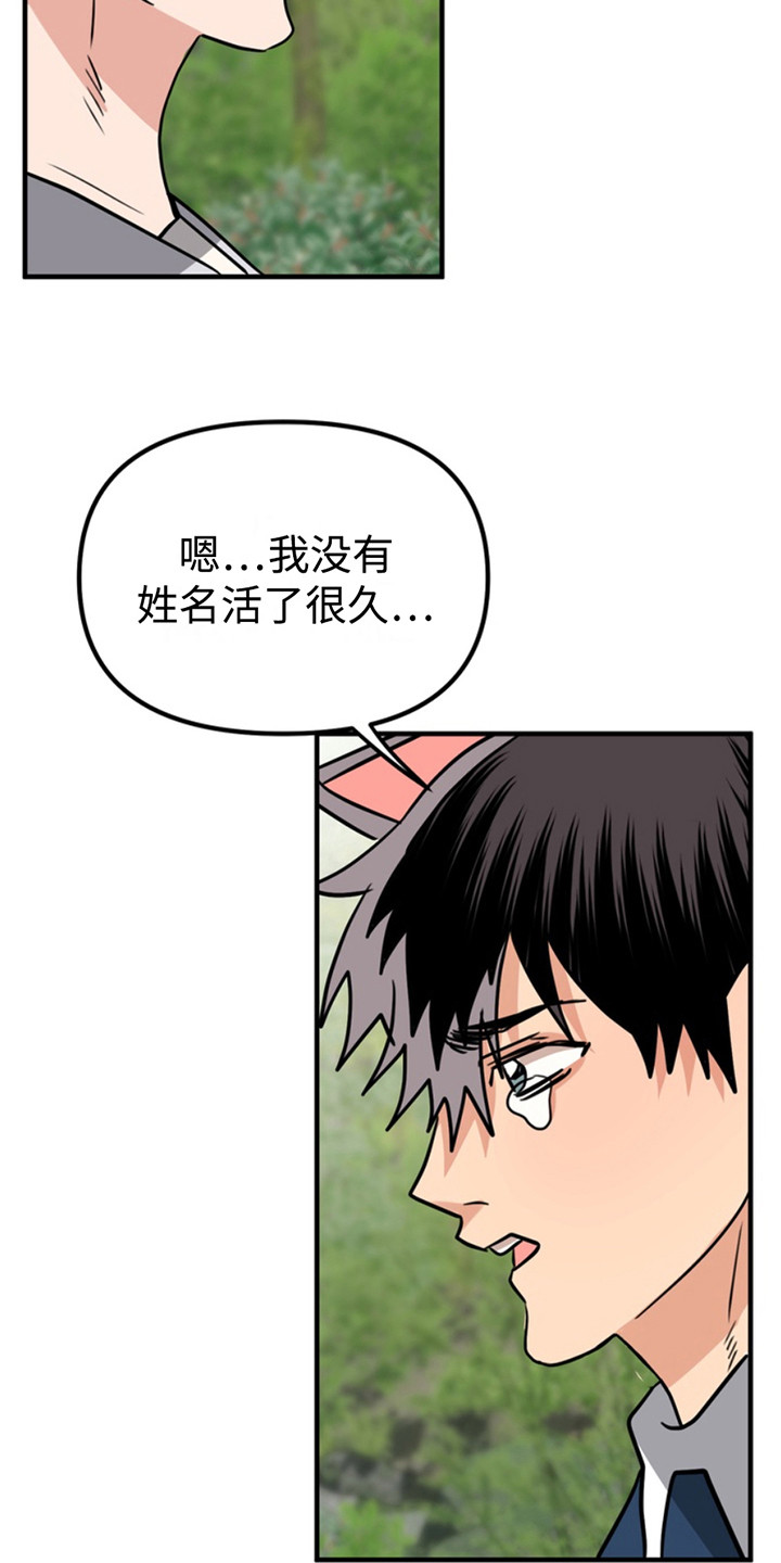 忠犬狂欢漫画,第60章：小狗的丈夫：登记书4图
