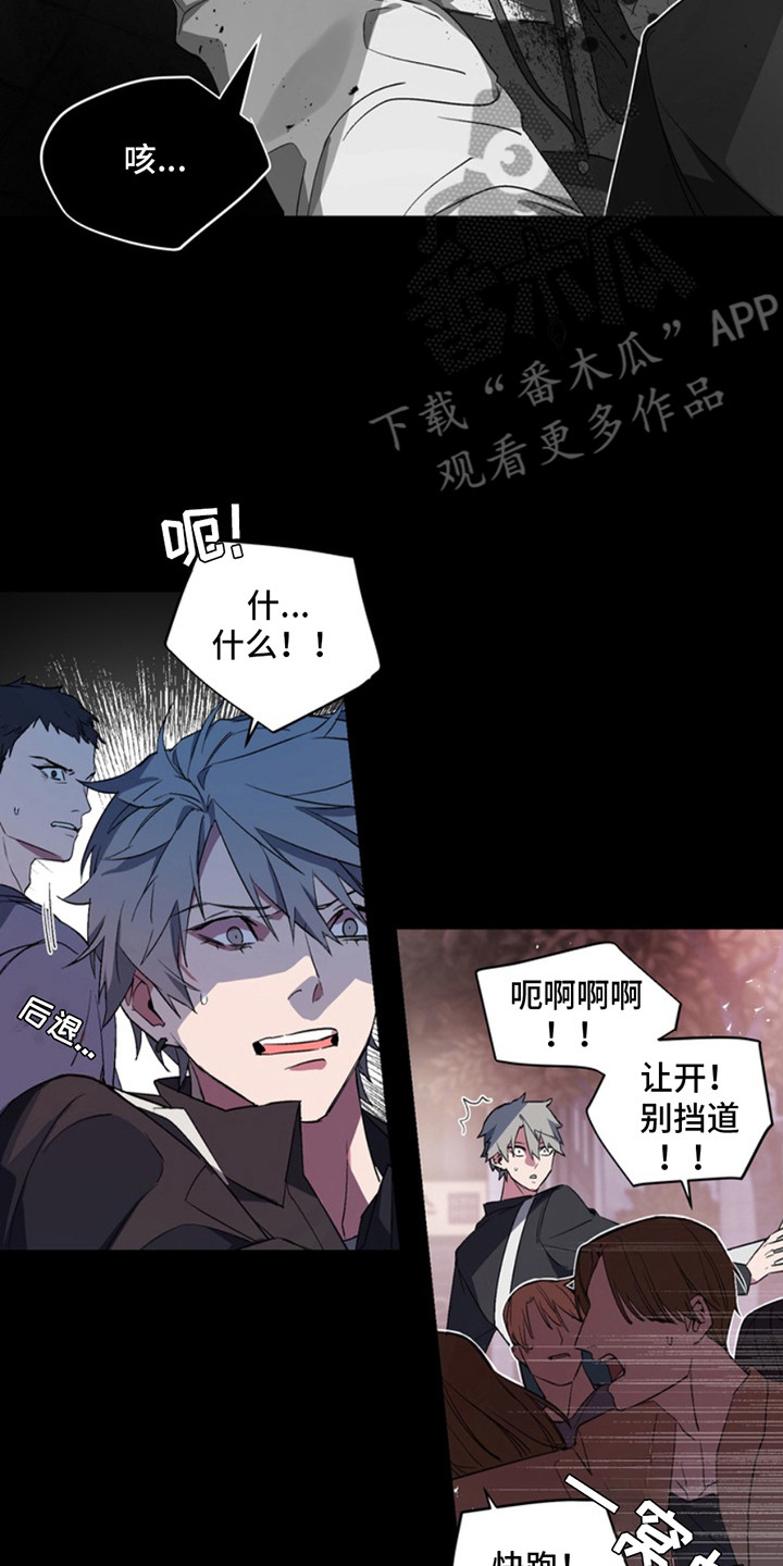 忠犬流浪记完整版漫画,第10章：断脚：想起来了4图