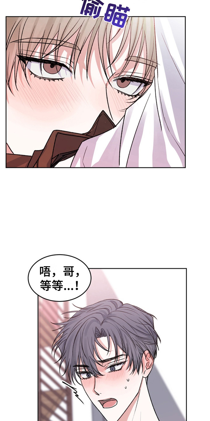 忠犬狂欢什么平台播出漫画,第25章：临时保护：因为是你1图