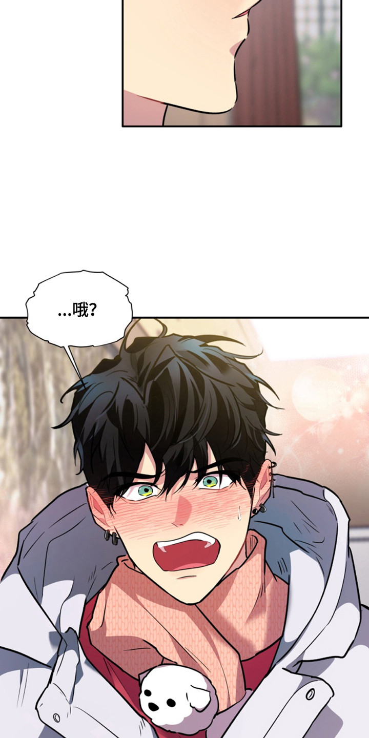 忠犬八公冯小刚漫画,第34章：暖暖的锅炉：吵吵闹闹4图