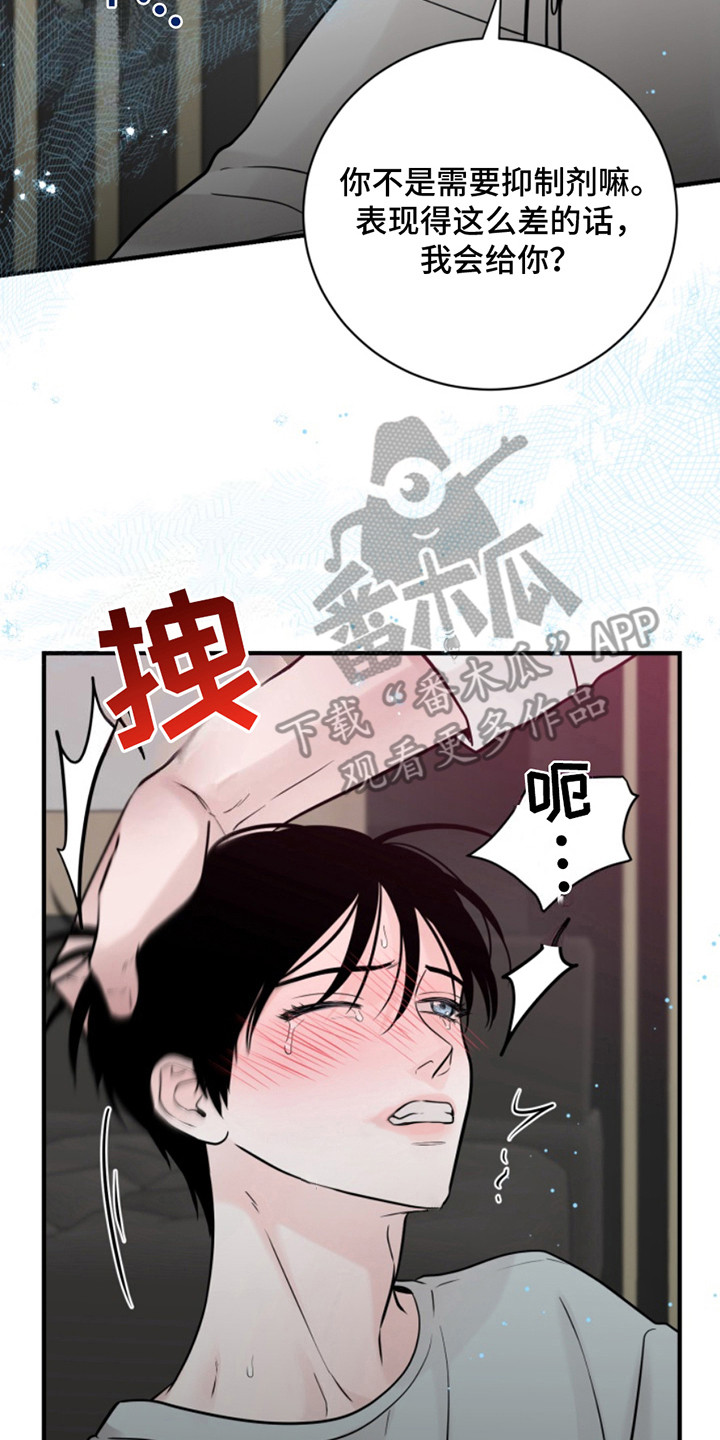 忠犬狂欢漫画,第53章：朱光成：救赎5图