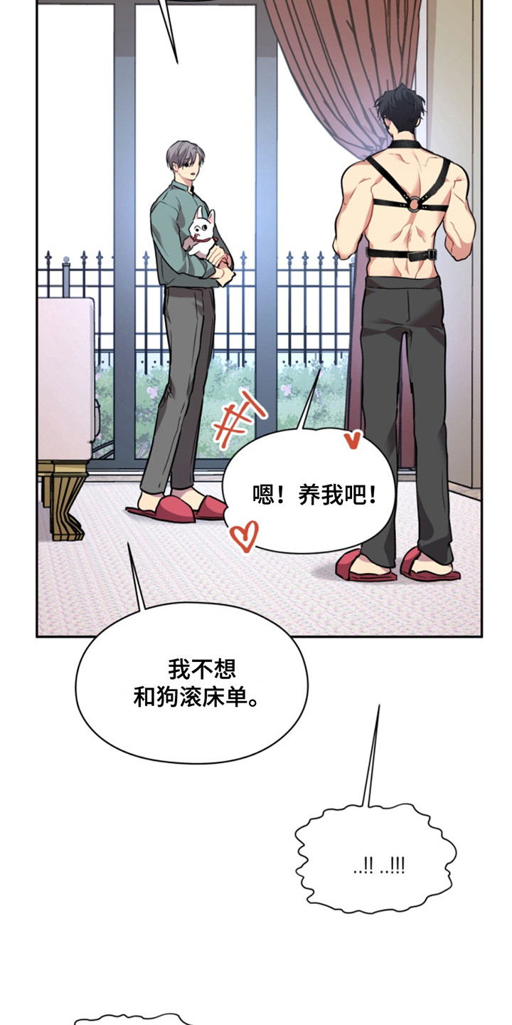 忠犬狂欢漫画在线阅读漫画,第44章：暖暖的锅炉：家人（完）1图