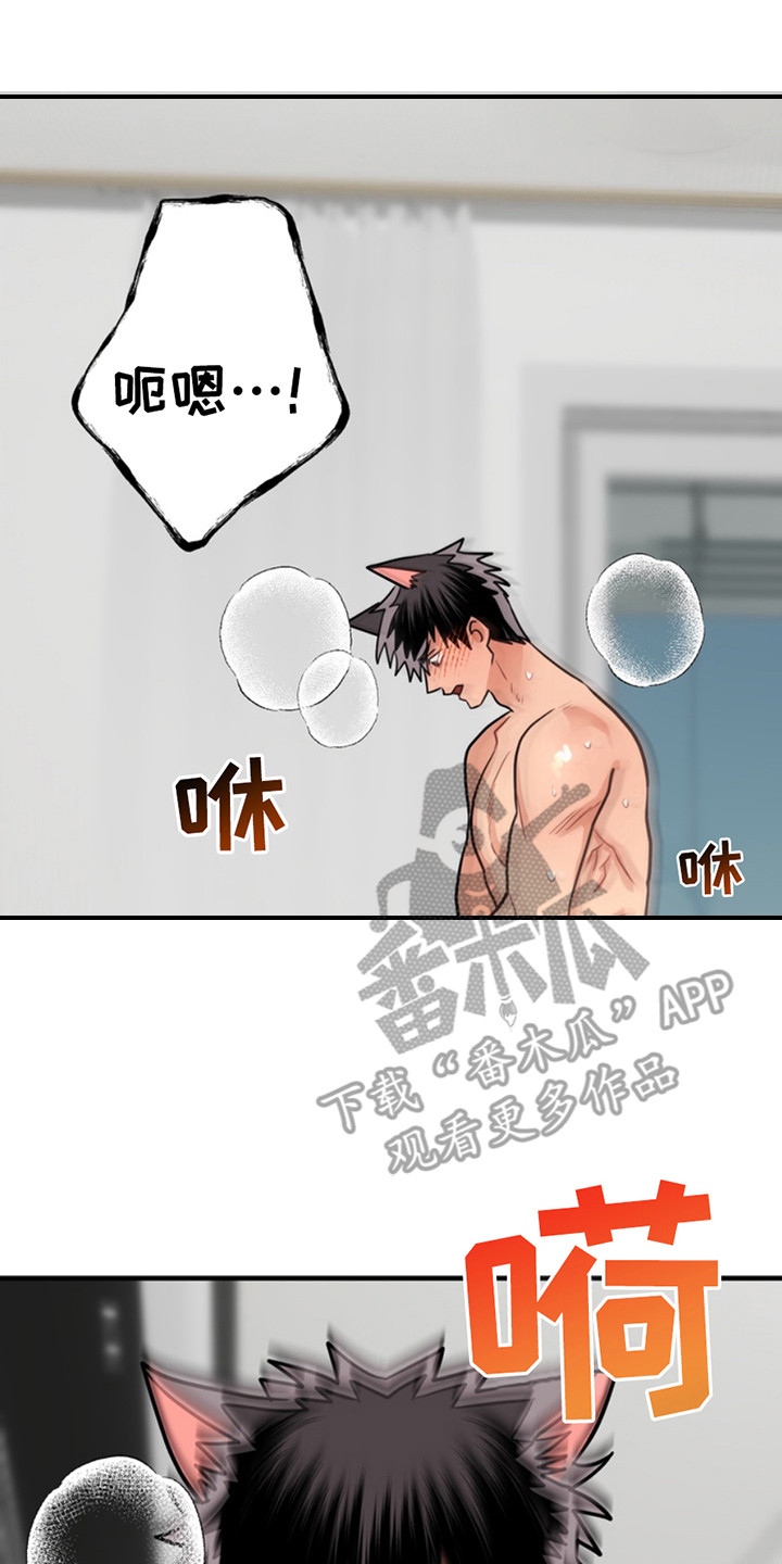 忠犬流浪记完整版漫画,第63章：小狗的丈夫：坏狗3图