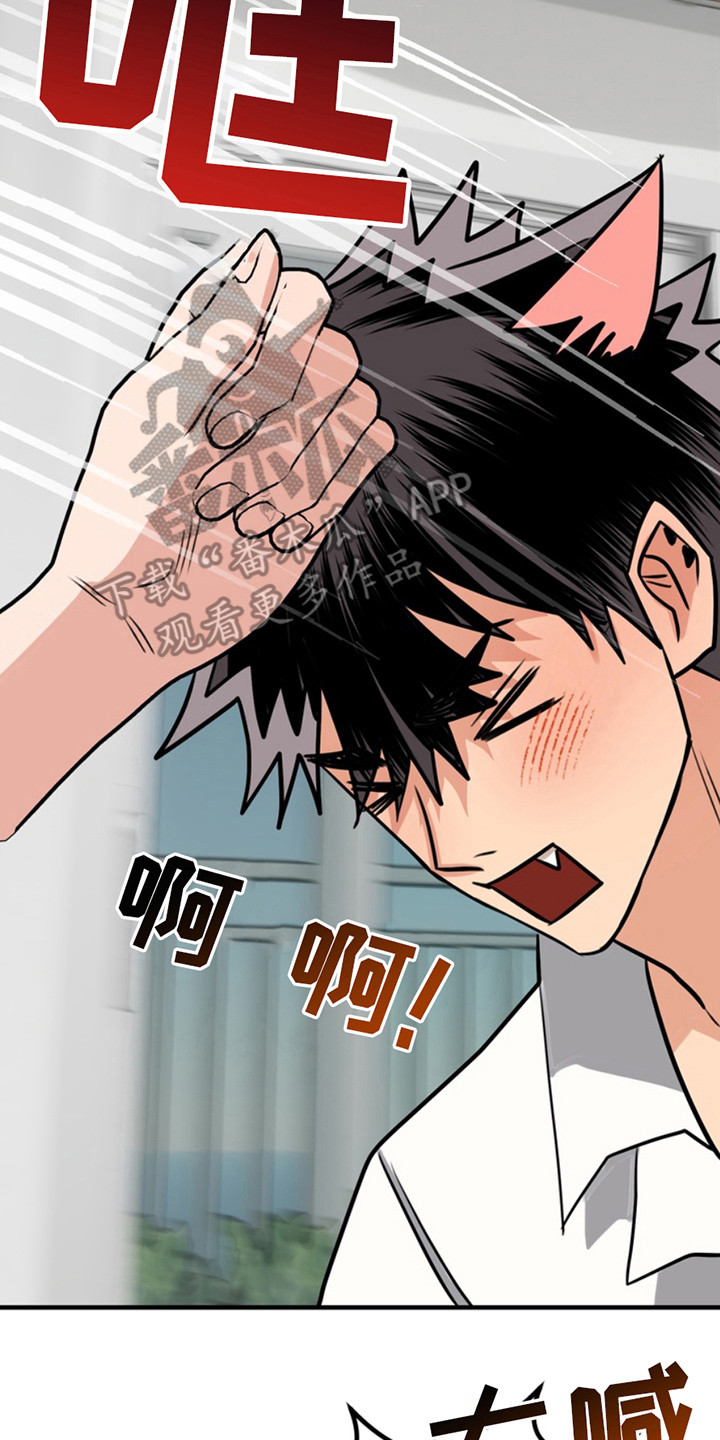 忠犬狂欢合集漫画,第62章：小狗的丈夫：正确的选择3图