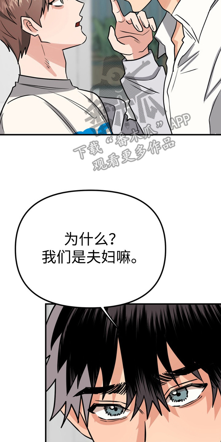 忠犬八公冯小刚漫画,第61章：小狗的丈夫：取名5图
