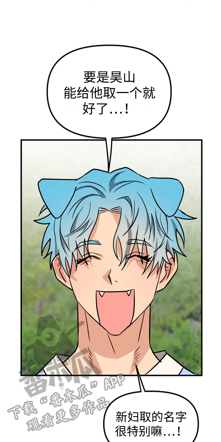 忠犬狂欢漫画,第60章：小狗的丈夫：登记书5图