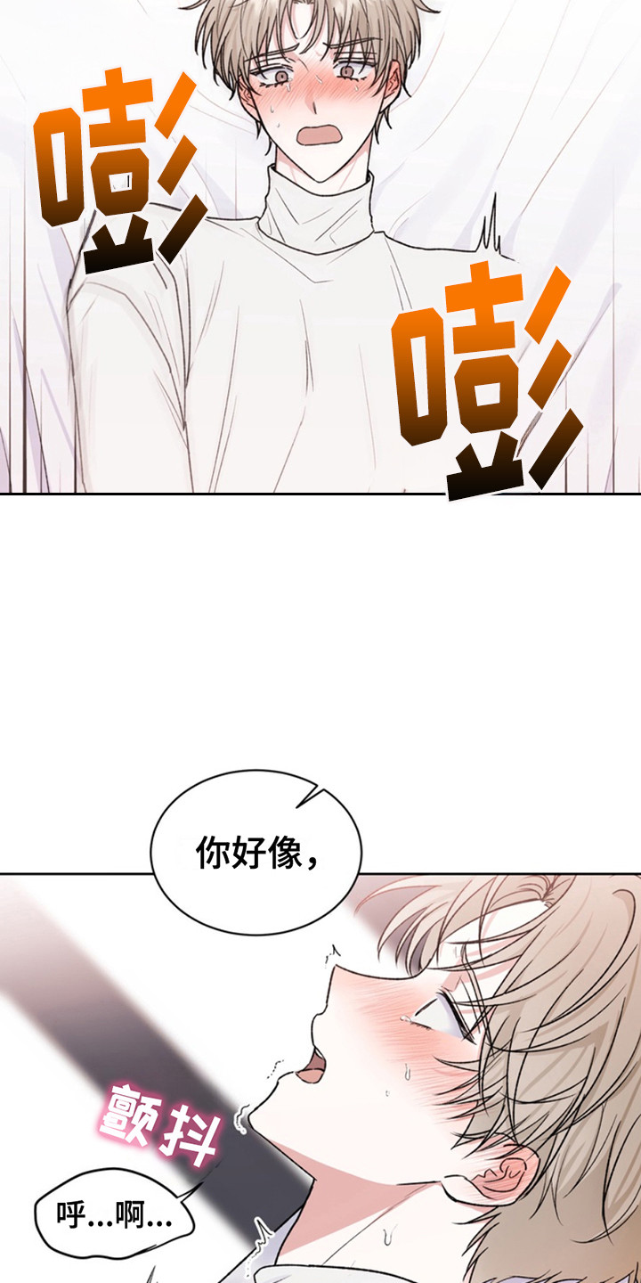忠犬八公的故事全片观看漫画,第19章：临时保护：不想分开1图