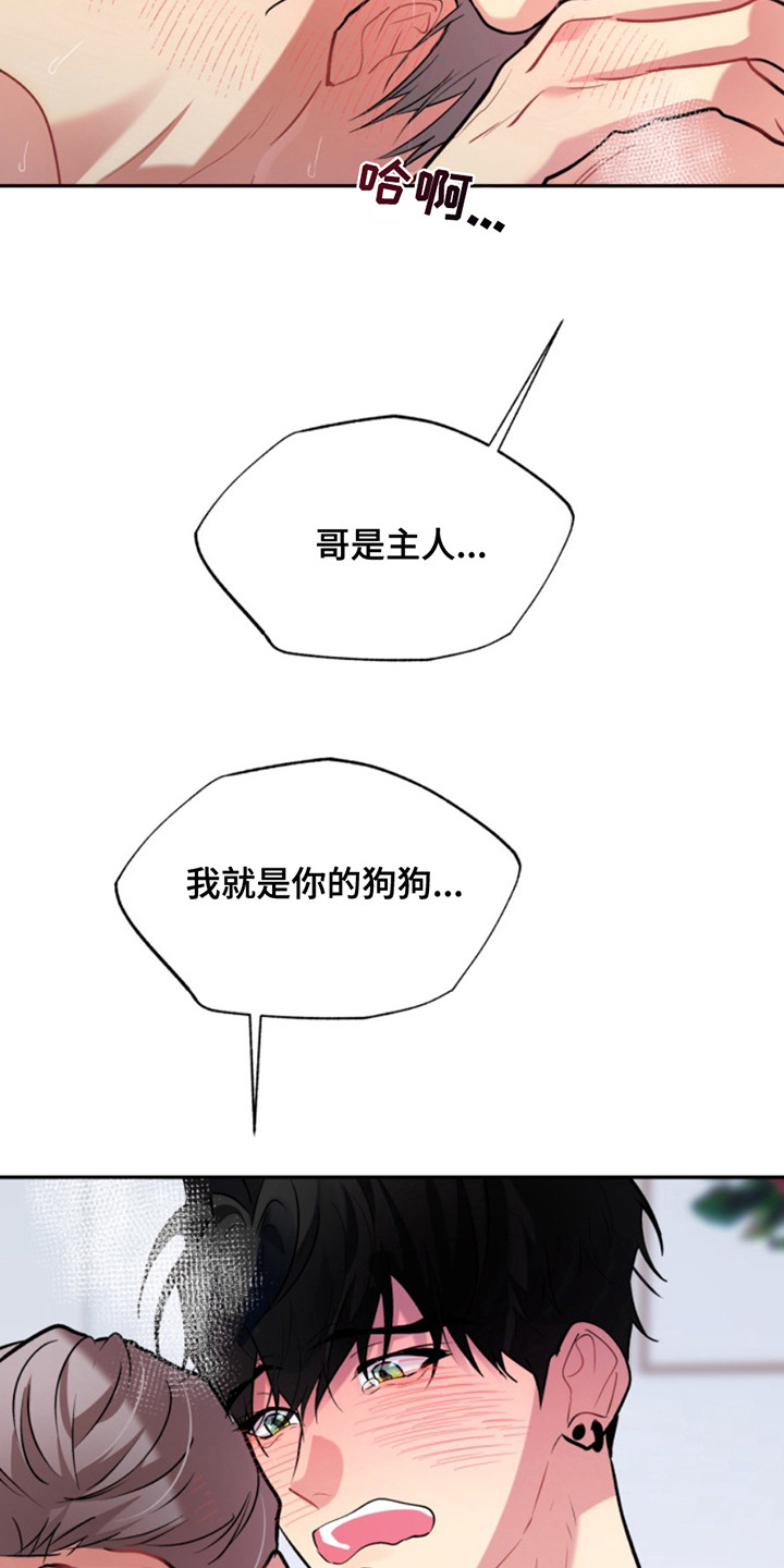 忠犬八公的故事电影解说漫画,第43章：暖暖的锅炉：留在身边1图