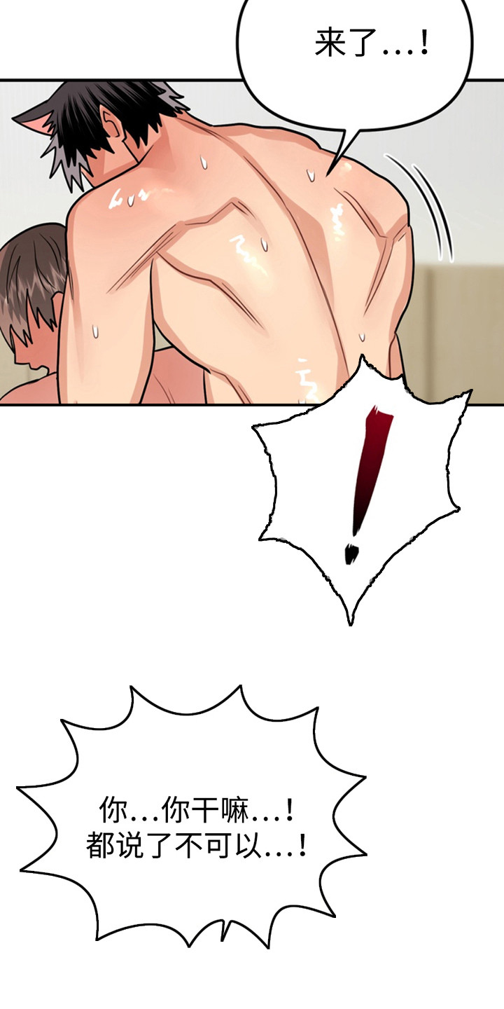 忠犬流浪记完整版漫画,第63章：小狗的丈夫：坏狗2图