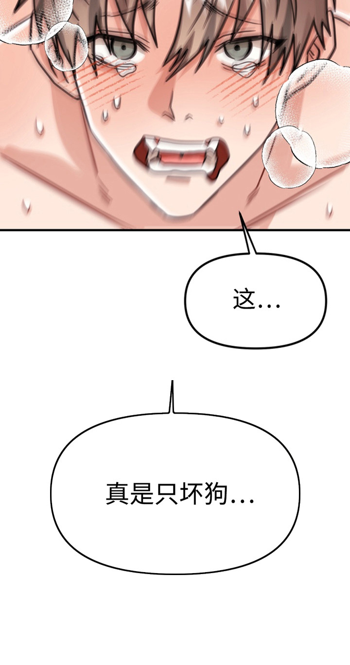 忠犬流浪记完整版漫画,第63章：小狗的丈夫：坏狗5图