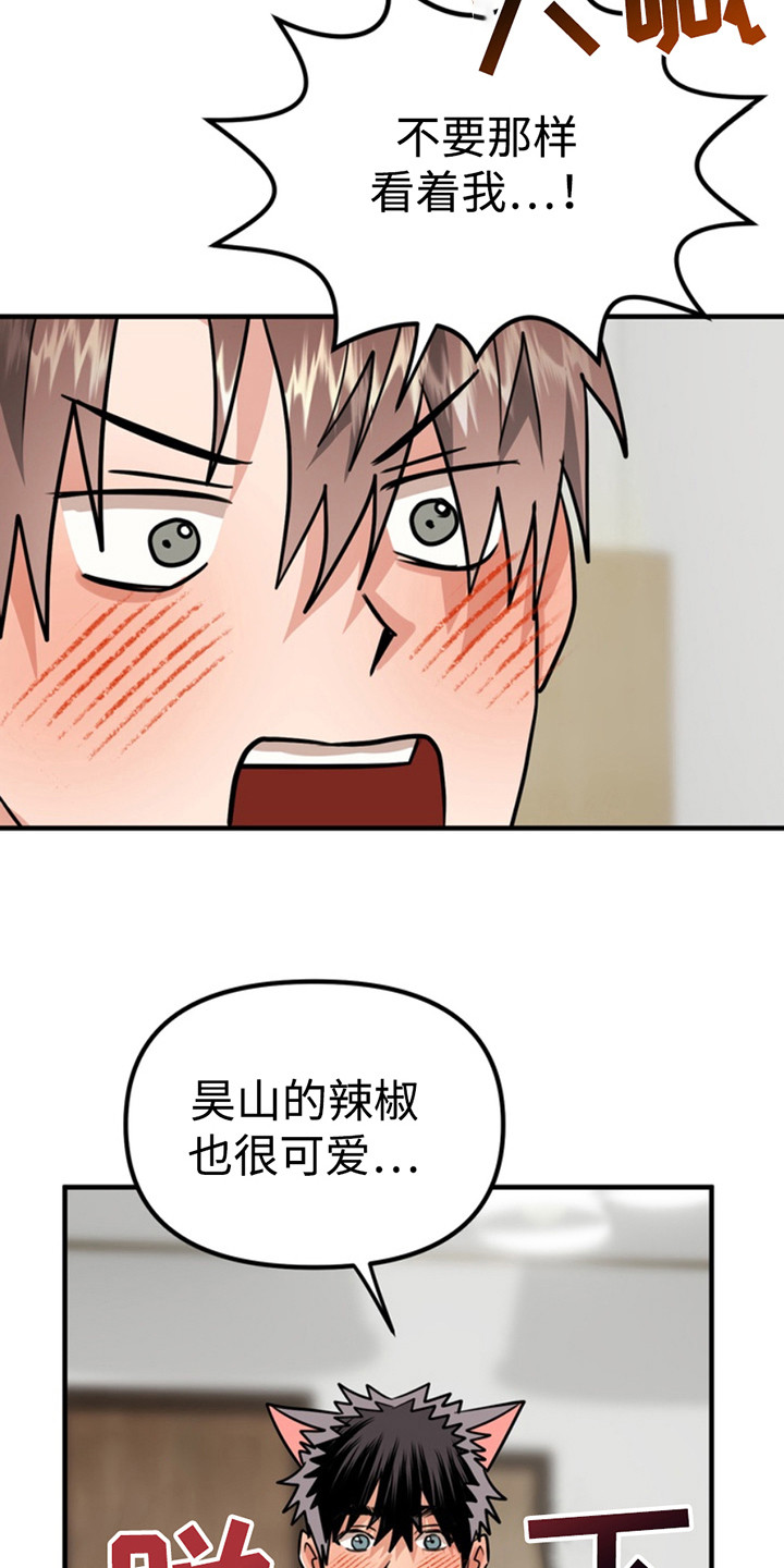 忠犬狂欢合集漫画,第62章：小狗的丈夫：正确的选择4图