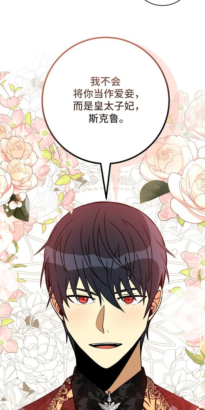 皇家教师全篇解说漫画,第11章：承诺3图