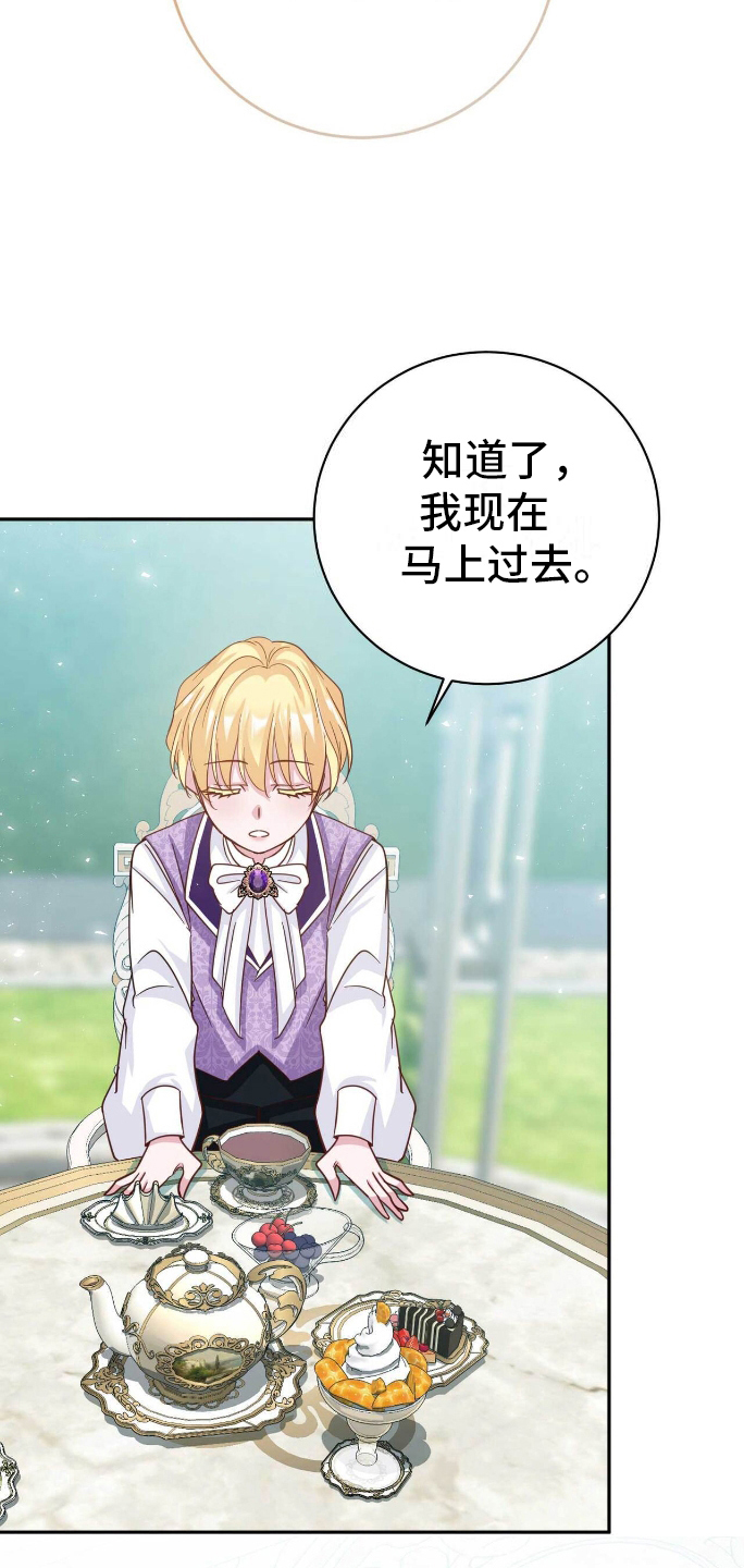 拯救黑化的自己漫画,第24章：我的侍从4图