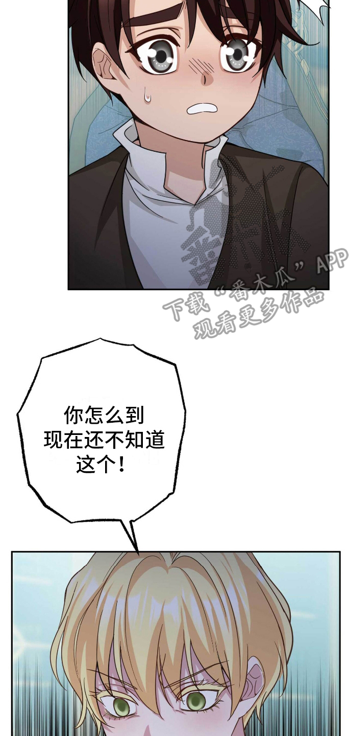 拯救黑化的哥哥们小说漫画,第27章：出气2图