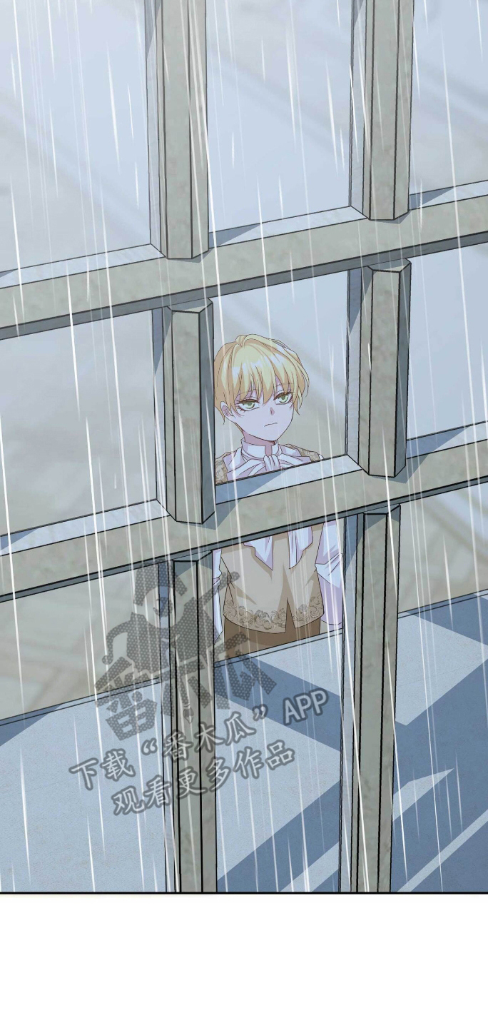 拯救黑化男配金坤爷全文阅读漫画,第11章：侍从2图