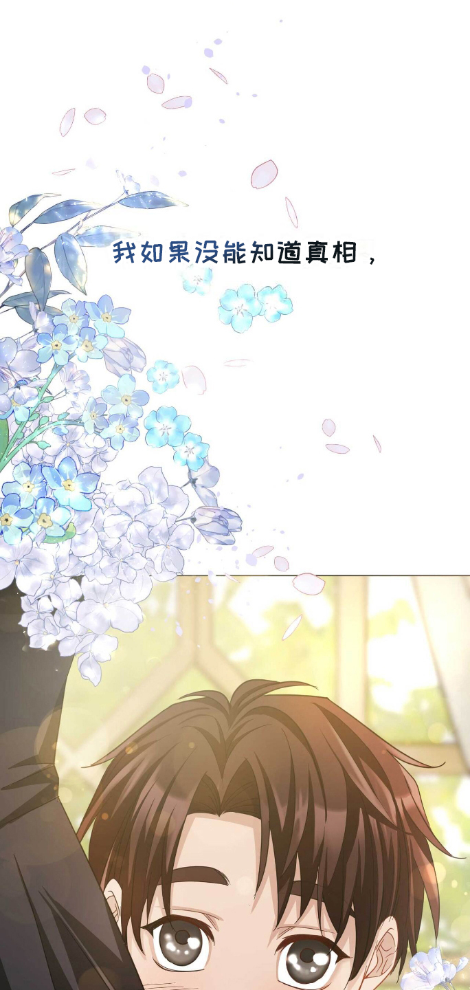 拯救黑化的哥哥们小说漫画,第6章：回到过去1图