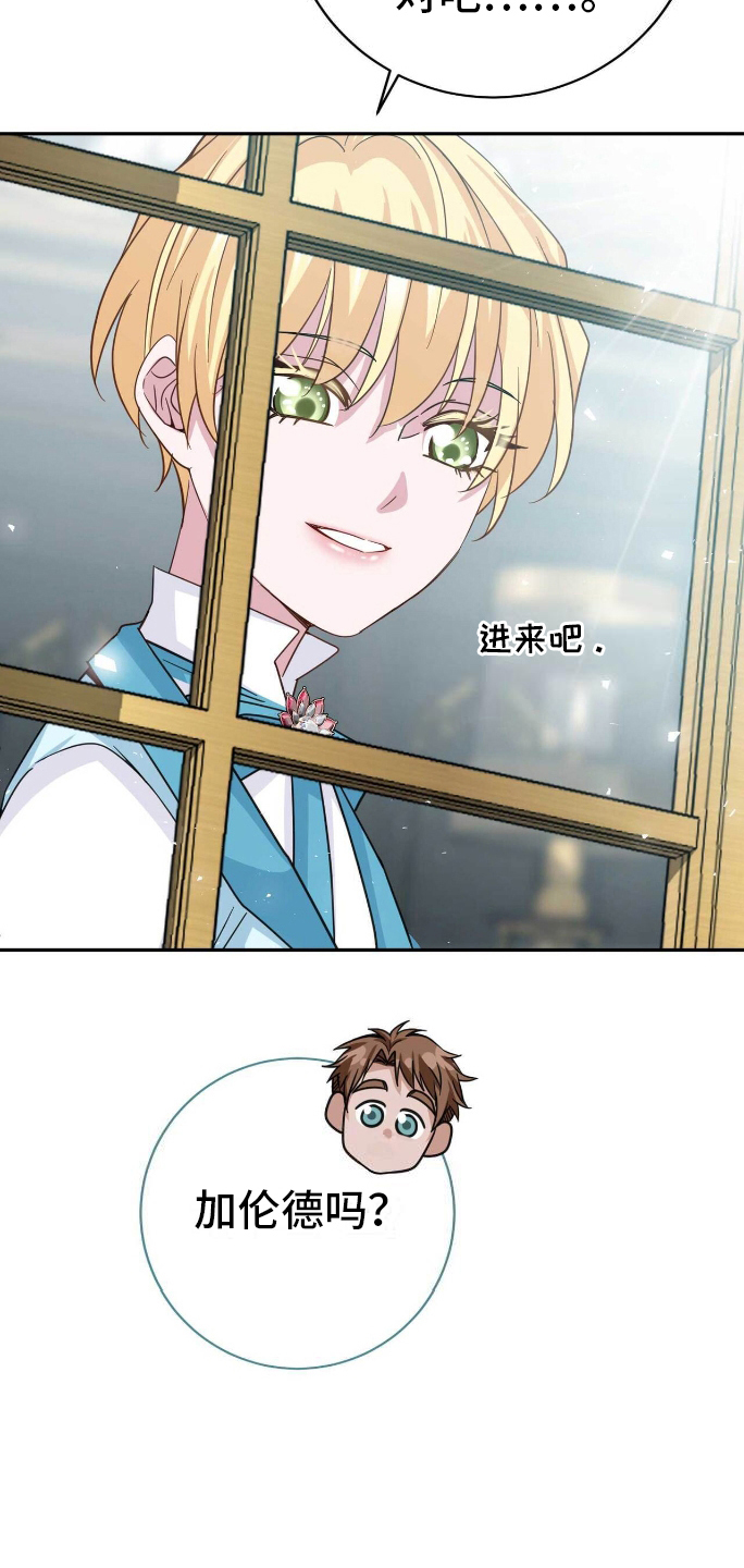 拯救黑化的哥哥们小说漫画,第23章：明知故问5图