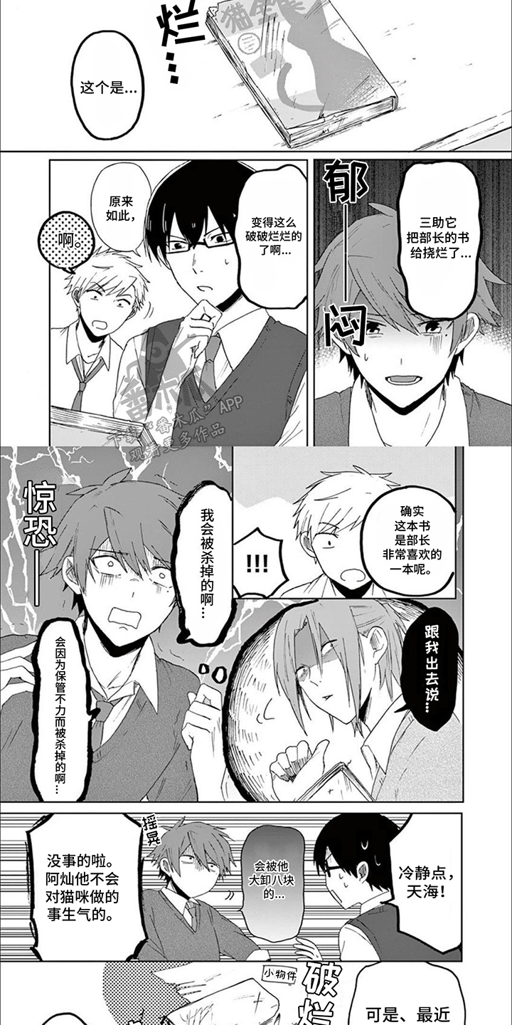 三花猫猫部漫画,第15章：捣乱3图