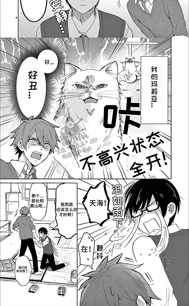 三花猫猫部漫画,第6章：不高兴3图