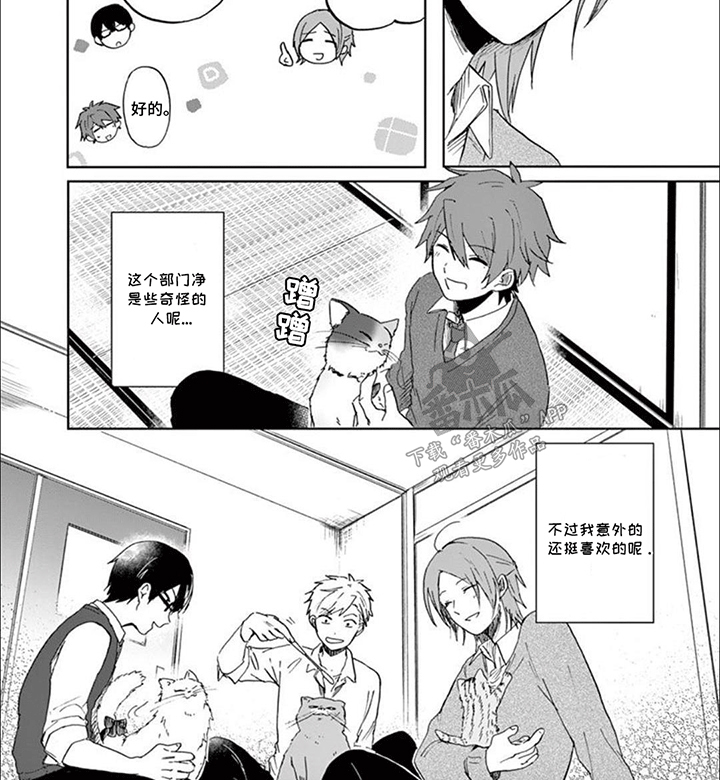 三花猫的祭司手册漫画,第5章：事情解决3图