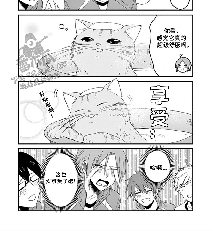 三花猫猫部漫画,第13章：误会4图