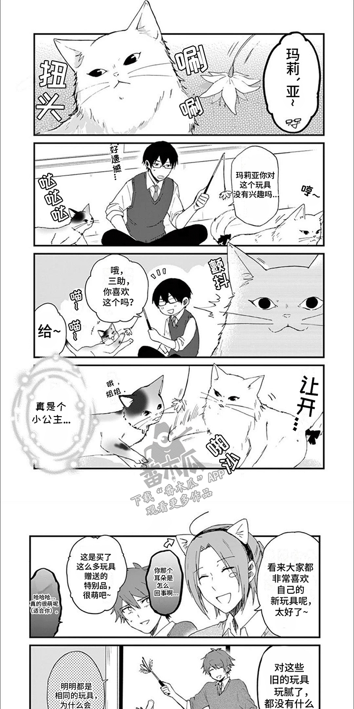 三花猫猫部漫画,第18章：灵异事件5图