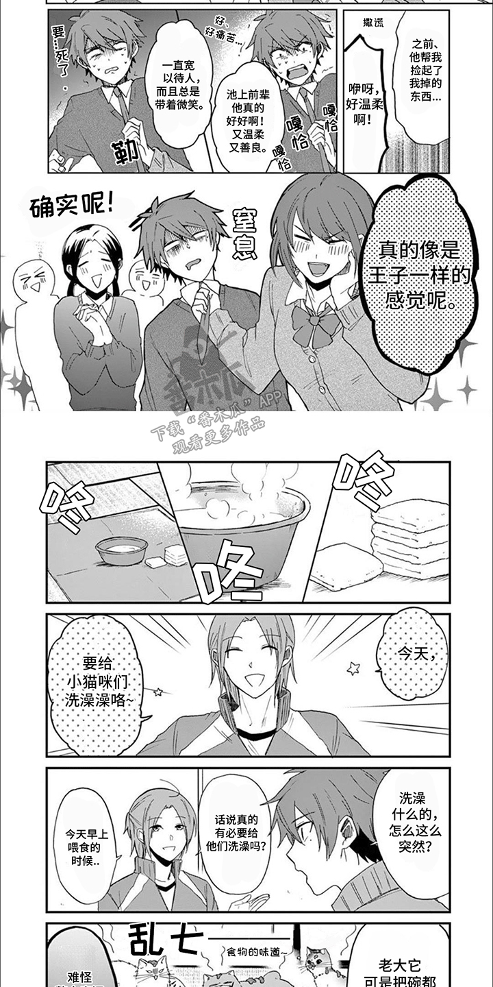 三花猫猫部漫画,第12章：洗澡2图