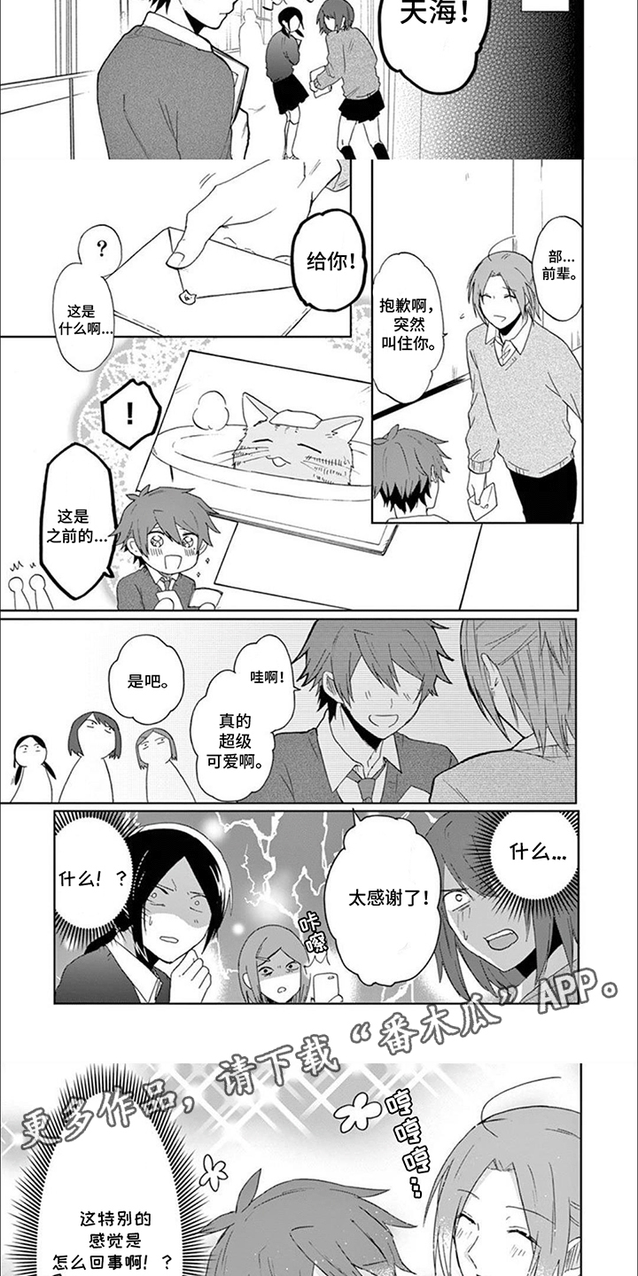 三花猫追梨花猫视频漫画,第13章：误会2图