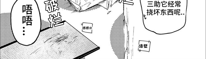 三花猫猫部漫画,第15章：捣乱4图