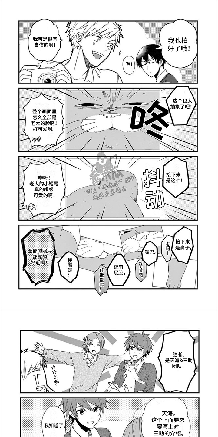 三花猫猫部漫画,第3章：最美猫咪1图