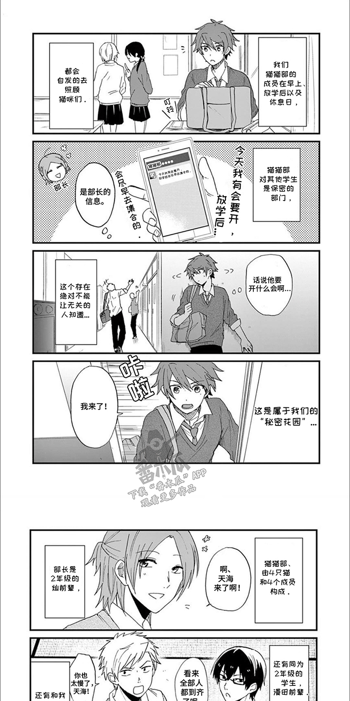 三花猫猫部漫画,第1章：我们的猫猫部5图