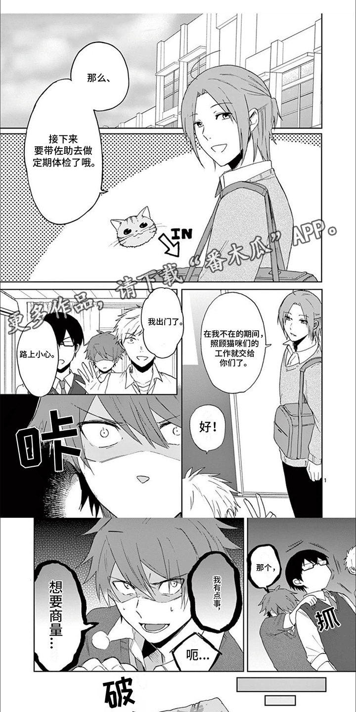 三花猫猫部漫画,第15章：捣乱2图