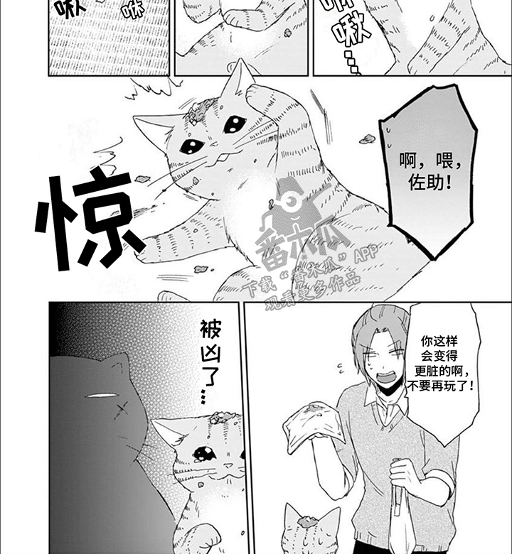 三花猫的祭司手册漫画,第14章：老大带娃2图
