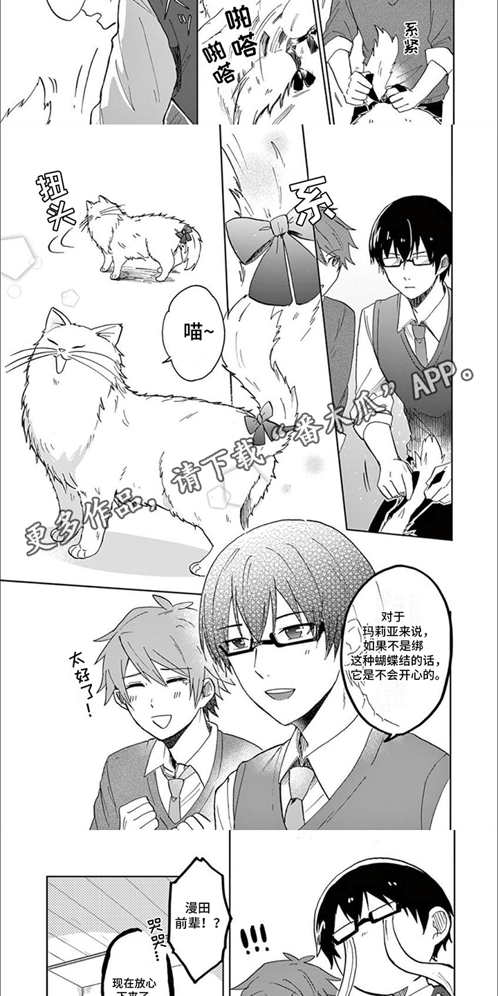 三花猫追梨花猫视频漫画,第7章：猫语2图