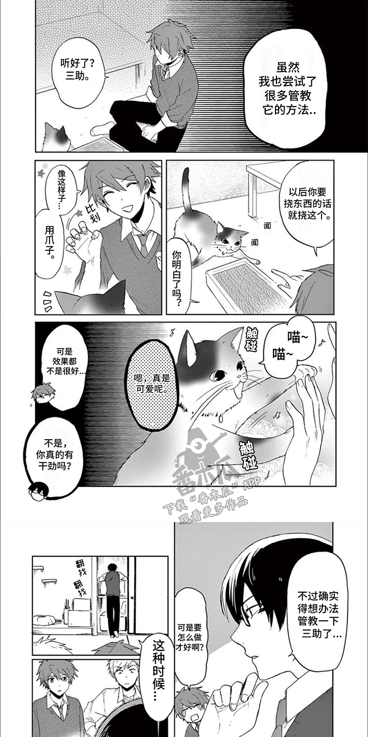 三花猫猫部漫画,第15章：捣乱5图