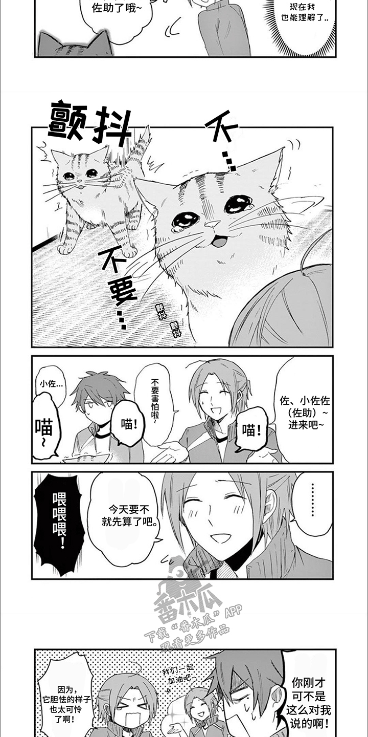 三花猫追梨花猫视频漫画,第12章：洗澡1图