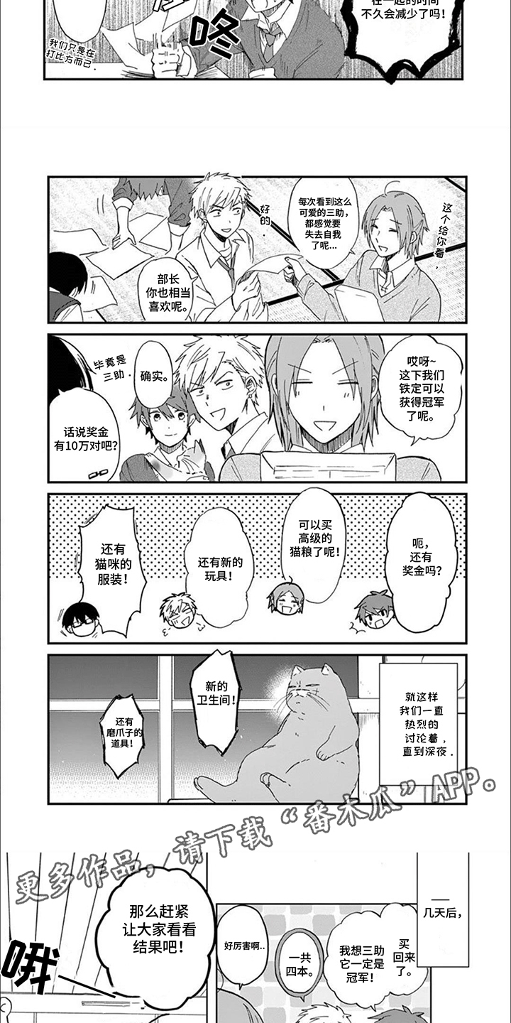 三花猫猫部漫画,第3章：最美猫咪3图