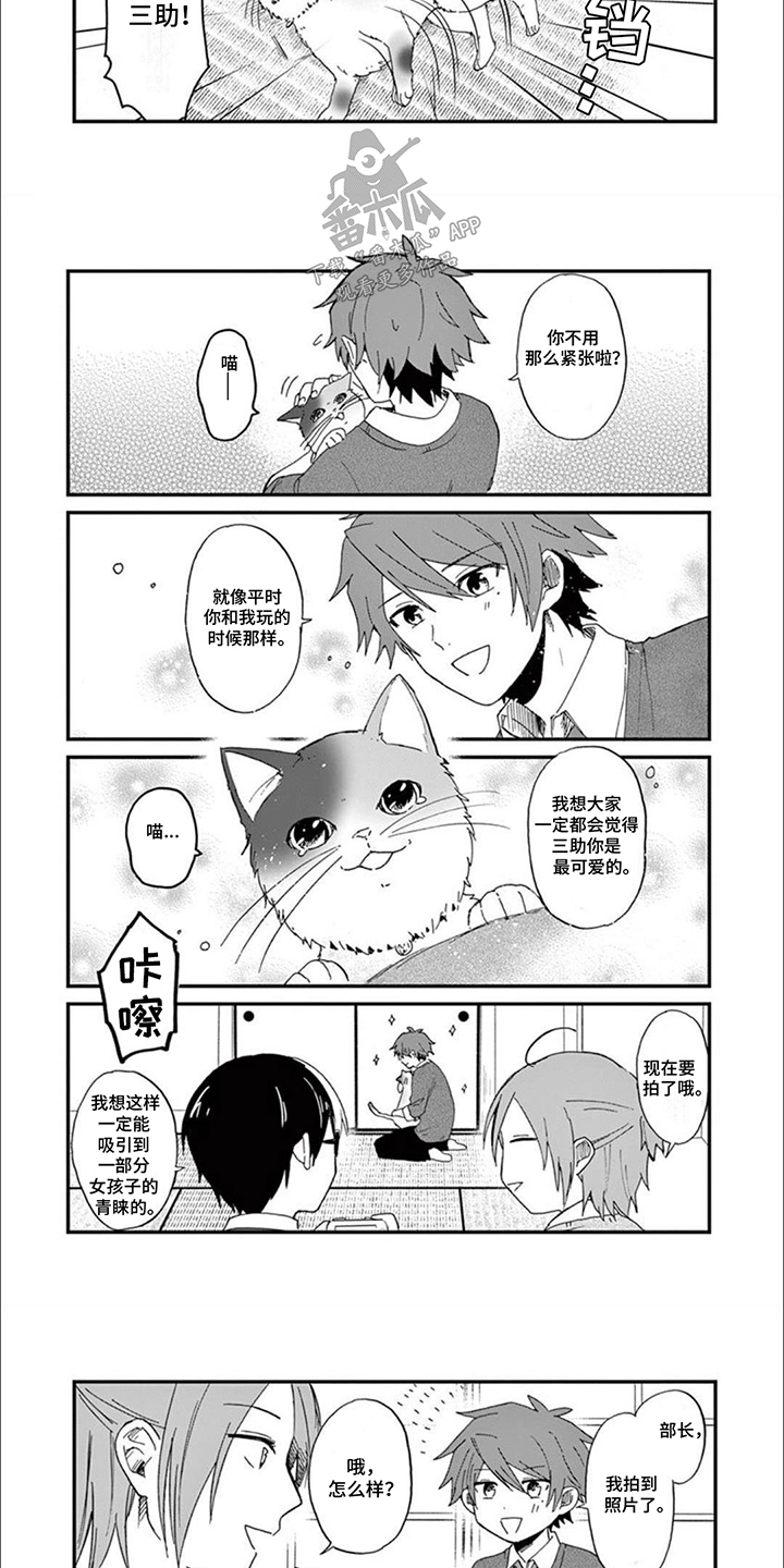 三花猫的祭司手册漫画,第2章：给猫猫拍照片2图