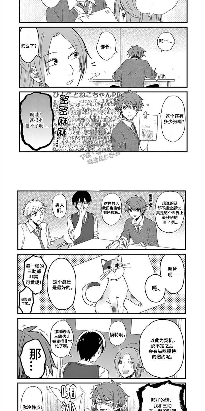 三花猫猫部漫画,第3章：最美猫咪2图