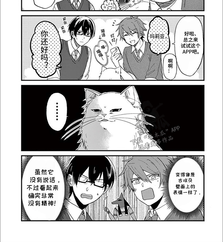 三花猫追梨花猫视频漫画,第6章：不高兴2图